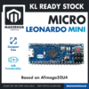 MICRO LEONARDO MINI